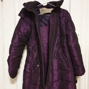 Burberry Purple Jacket